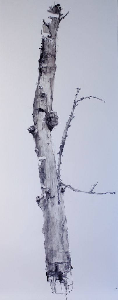 A charcoal image of a bare tree trunk