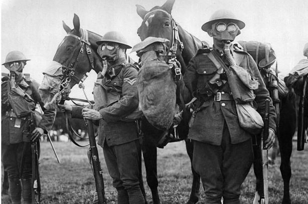 Horses and men in gas masks